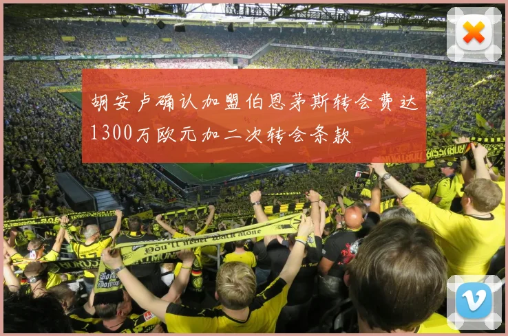 胡安卢确认加盟伯恩茅斯转会费达1300万欧元加二次转会条款